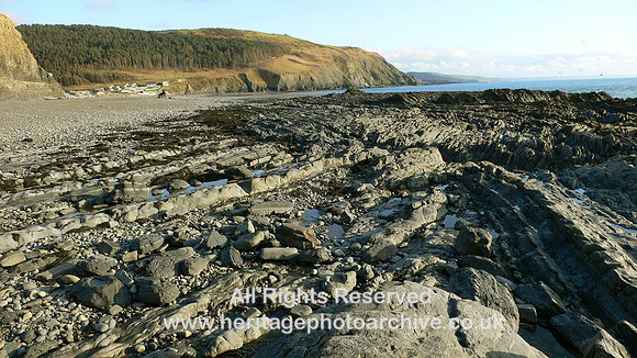 HRS 5145 Silurian, mudstones, Clarach Bay 2008
