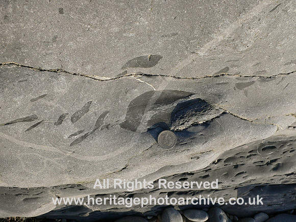 HRS 5150 Silurian, mudstones, Clarach Bay inclusions 2008