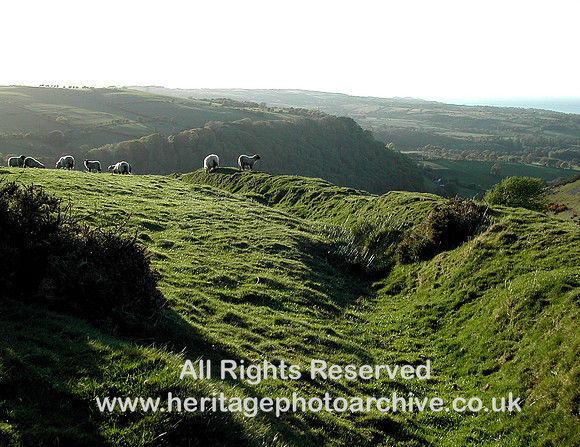 HRS 5197 Sheep above Betws-yn-rhos May 2004