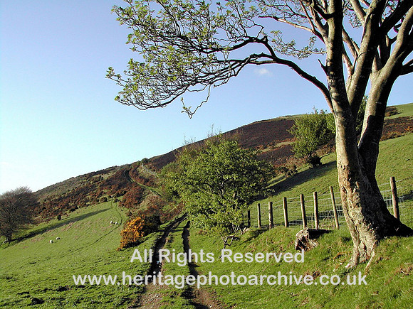 HRS 5196 Drovers road near Betws-yn-rhos 2004