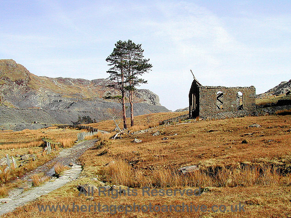 HRS 5264 Cwmorthin, Calvinistic Methodist Chapel and tree looking south 2004