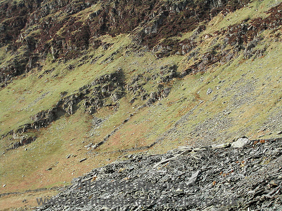 HRS 5289 Cwmorthin old walled sheep field 2004