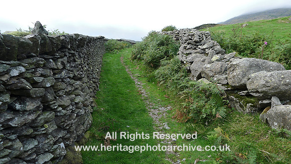 HRS 9618 Stephenson Ground, sheep road SD234931 L1180145