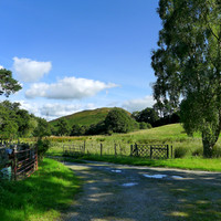 Gwern Engen from Pensychnant