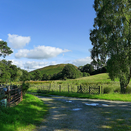 Gwern Engen from Pensychnant