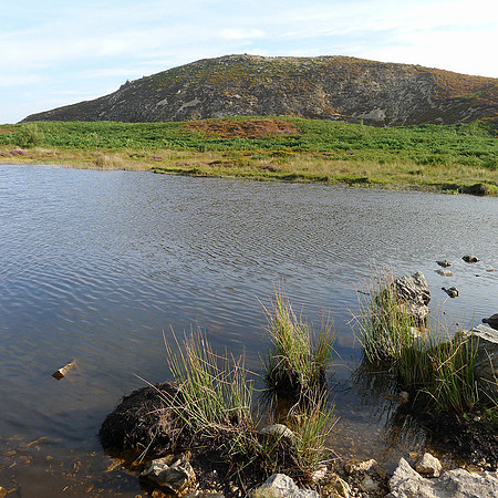 L1120042 Gwern Engen tarn