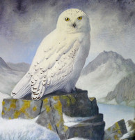 Pensychnant, Wildlife Art Gallery