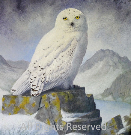 Pensychnant, Wildlife Art Gallery