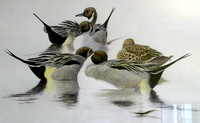 Pensychnant, Wildlife Art Gallery