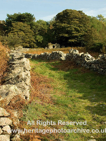HRS 5329 Brynrefail area,  Cart road and ruin 2008