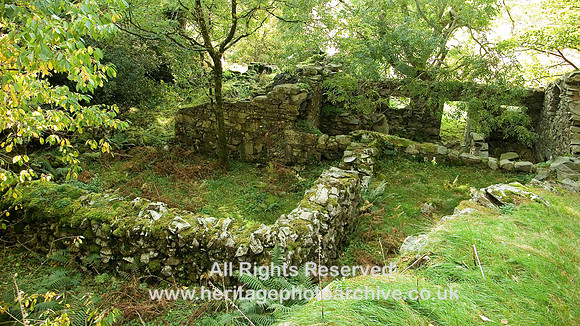 HRS 5333 Brynrefail, Tyn-y-drywel, rear of ruined farmhouse 2008