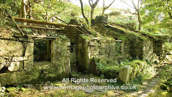 HRS 5334 Brynrefail, ruined farmhouse 2008