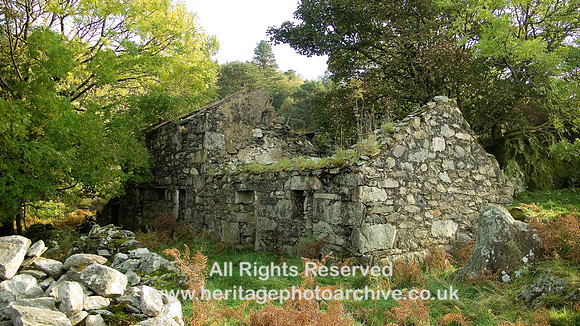 HRS 5338  Brynrefail, Fron Goediod Farm 2008
