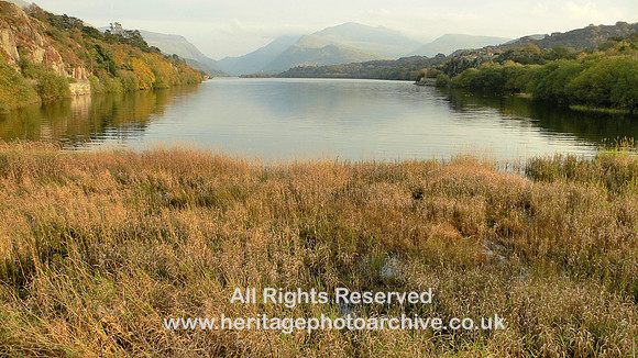 HRS 5341 Llyn Padarn 2008