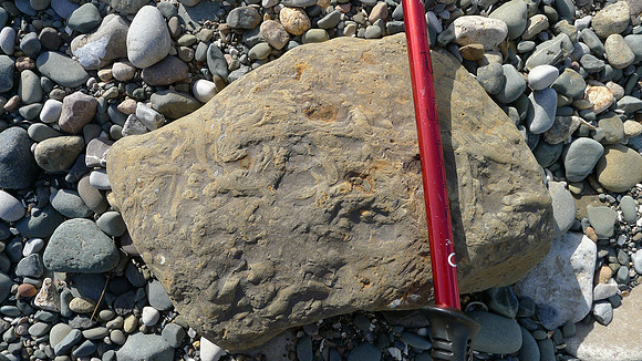 HRS 7967 Moat Scar,  Glacial erratic with bioturbation.