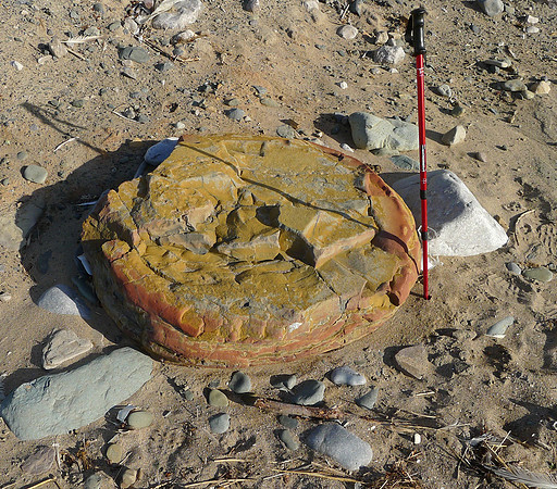 HRS 7971 Moat Scar,  Unusually shaped glacial erratic