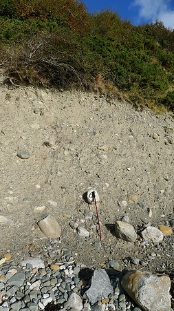 HRS 7973 Moat Scar, Section clasts and erratics NE end