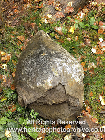 HRS 5475 Circular object found in tuffs 2009