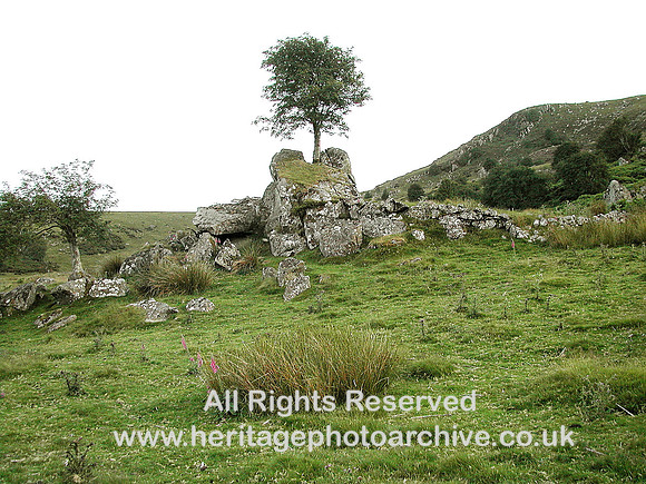 HRS 5522 Maeneira enclosure tree 2003
