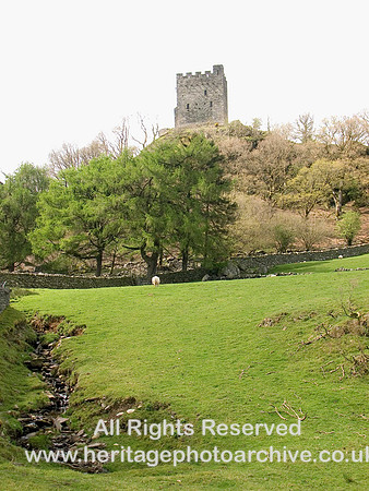 HRS 5893 Dolwyddelan Castle 2008