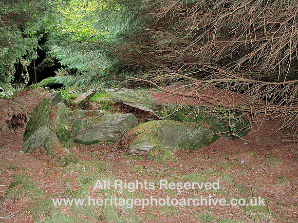 HRS 5904 Blaenau Dolwyddelan Forest, archaeological remains 2008