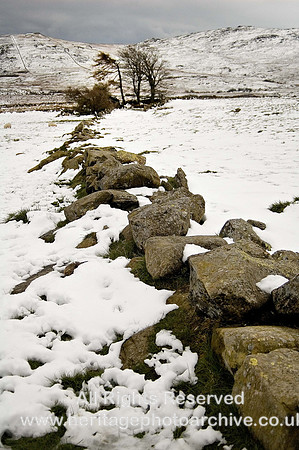 HRS 5915 Tan-y-braich nr Bwlch-y-ddeufaen 2005