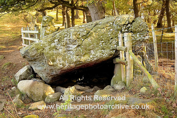 HRS 5928 Neolithic burial chamber, Hebdre Waelog 2009