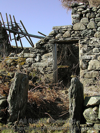 HRS 5970 Onen ebryd, Llanbedr-y-cennin 2004