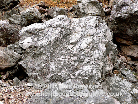 HRS 6013 Carboniferous, limestone, Reef Breccia, Little Orme, Llandudno  2004