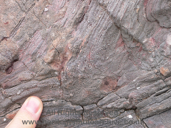 HRS 6014 Carboniferous, sandstone, Little Orme, Llandudno 2004