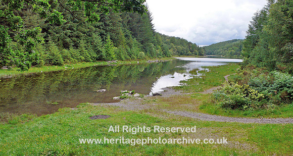 HRS 6038 Gwydyr,  Llyn y Parc south end 2008