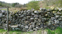 HRS 8913 Cautley, dry stone wall on west side of valley L1150347