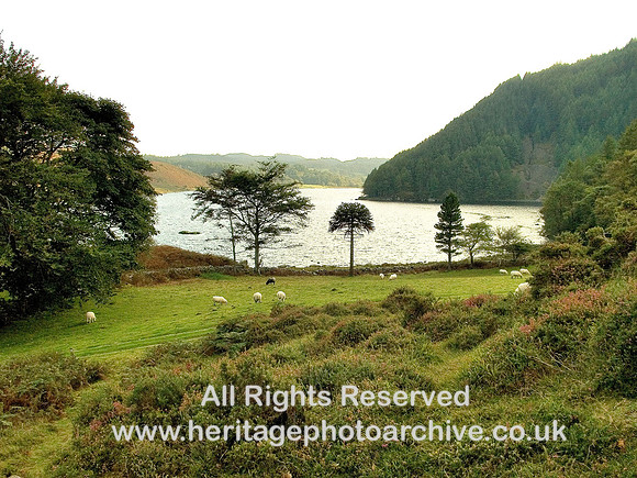 HRS 6080 Llyn Geirionydd looking west 2008