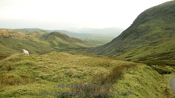 HRS 6128 Clogwyn Candryll below Manod 2008