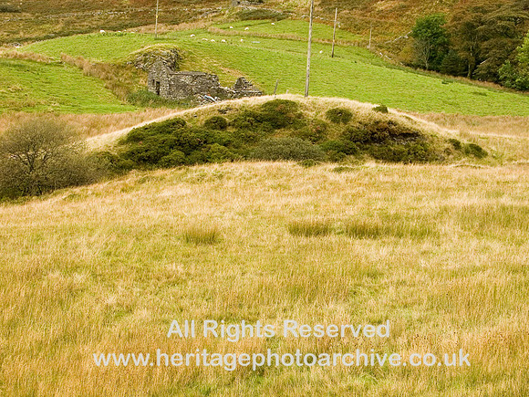 HRS 6135 Roche moutonee, Craig y Garreg Llwyd, Ffestiniog 2009