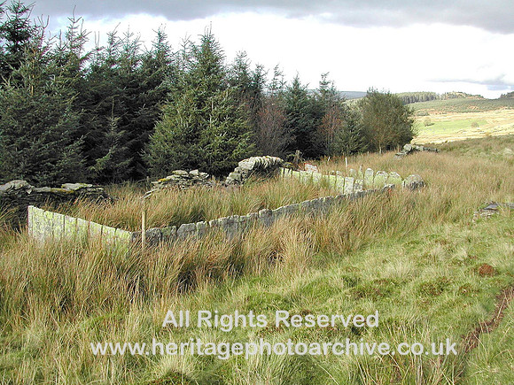 HRS 6233A Sheep fold south of Penmachno 2008