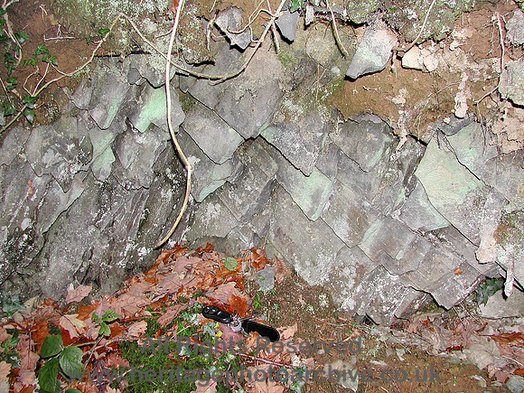 HRS 6255 Silurian, shales, Pentrefelin, Cymerau Nov 2003