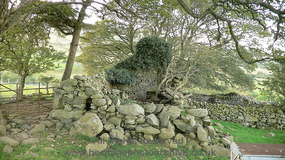 HRS 6297 White Hart Isaf, Rowen