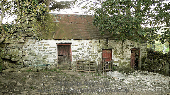 HRS 6298 White Hart Isaf, Rowen 2007