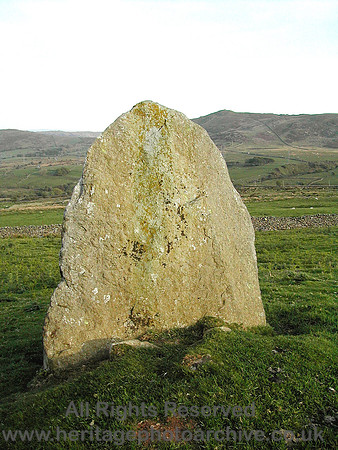 HRS 6299 Maen-y-bardd, Rowen 2005