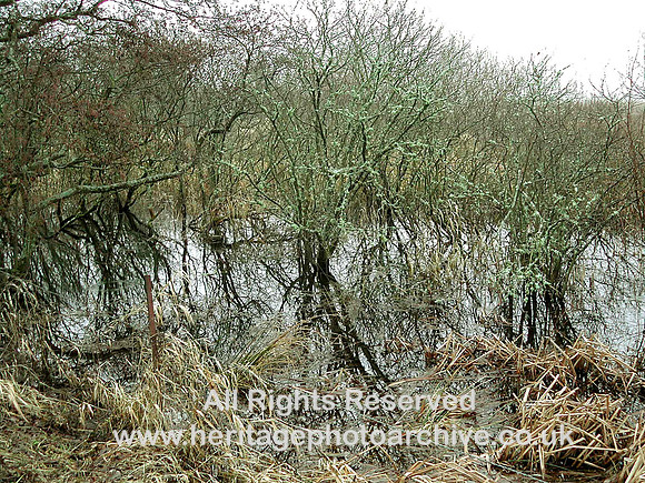 HRS 390 Malltraeth marsh, Anglesey