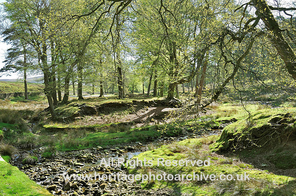 HRS 1539 Trough of Bowland Road