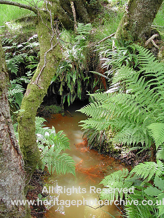 HRS 6432 Mine sough above Gelli newydd, Trefriw 2004