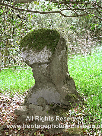 HRS 6433 Unknown stone above Gelli Newydd 2004