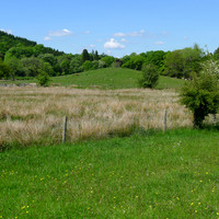 HRS 8766 Fell foot, Glacial mound S end Windermere L1060702