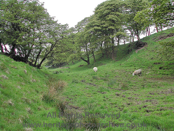 HRS 6479 Broadclough dike with sheep 2005