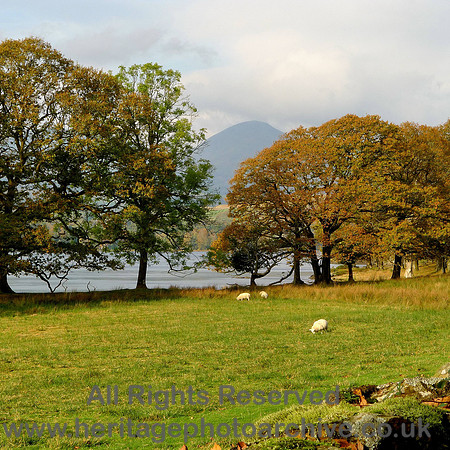 HRS 7362 Coniston Water, Old Man