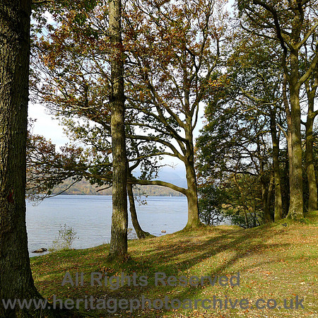 HRS 7367 Coniston Water,  the window-tree