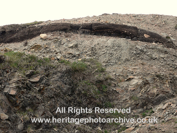 HRS 6538 Lens of peat in till Fethaland, Shetland 2006