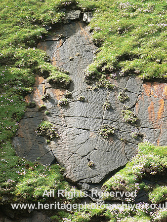 HRS 6547 Old Red Sandstone ripple marks Quendale 2006